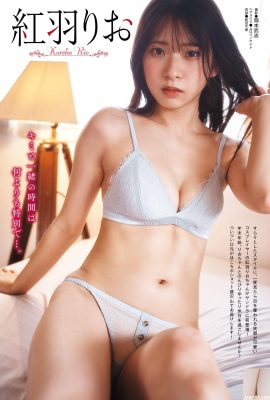 [紅羽りお] Angka yang sangat bagus dan indeks seksi (16P)