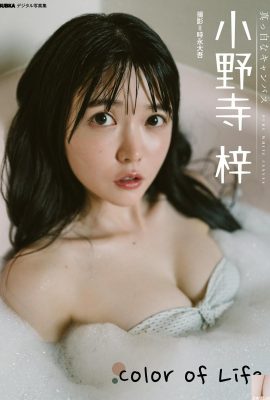 [小野寺梓] Payudara besar gadis Sakura tidak dapat disembunyikan tidak kira betapa ketatnya begnya, dan susuk tubuhnya benar-benar bebas (21P)