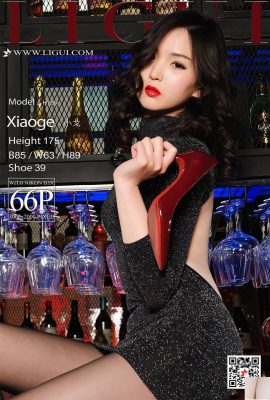 [Ligui Kecantikan Internet] 20180421 Kaki cantik model Xiao Ge dalam stoking hitam di bar[67P]