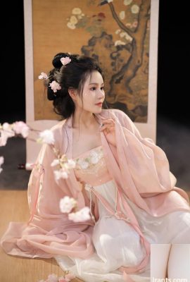 Gadis kebajikan terbaik Tao Nuanjiang – impian gaya kuno Hanfu
