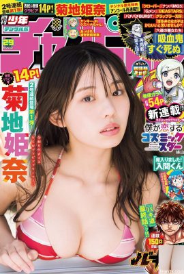 (Kikuchi Himena) Foto gadis berpayudara besar mempamerkan belahan V dalam dalam bikini (13P)