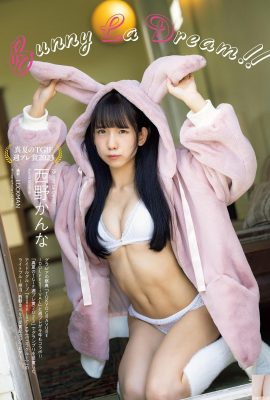(Nishino Aya) Gadis Sakura berpayudara besar…gambarnya sangat comel (7P)