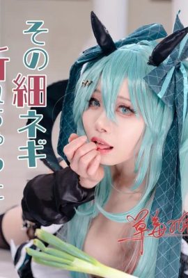 Hatsune Miku: Bawang hijau nipis tu pecah?