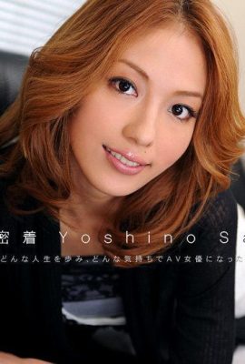 Sally Yoshino “Resume Bogel No.9 (13P)”