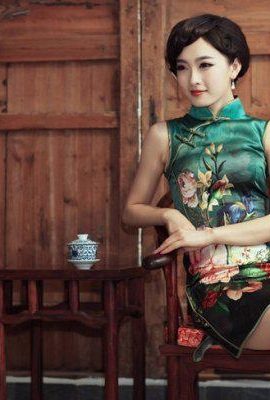 Lukisan minyak kecantikan cheongsam yang menawan (8P)