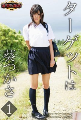 Tsukasa Aoi (Buku Foto) Sasaran keinginan ialah vol.1 (81P)