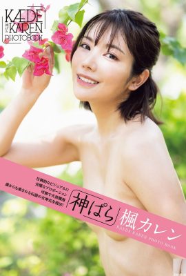 (Set model Jepun) Maple Blossom Love “Kami ぱら” (102P)