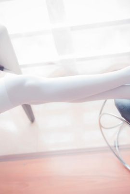 (Arnab bermain dengan filem) – Lap Socks in the Sun (43p)