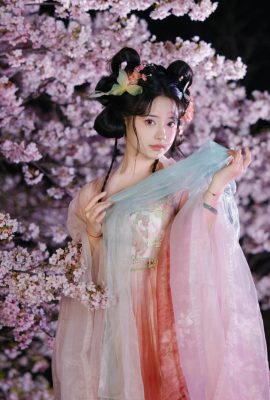 Blossoms Cherry Malam Membawa Rusa (22p)