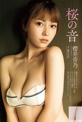 Selamat Tahun Baru ~ Sila lihat tokoh Girl Sakurai yang anggun (68p)