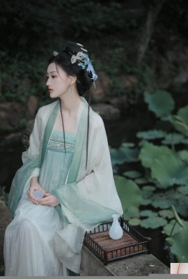 Jiangnan boleh memilih Lotus Dudu (28p)