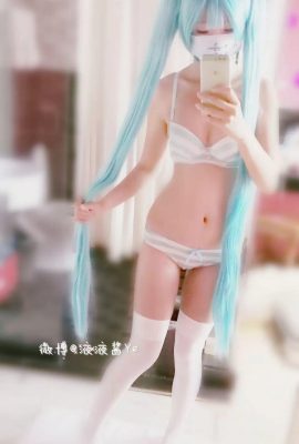 (Cecair cecair yeye) Vocaloid – Hatsune Miku (28p)