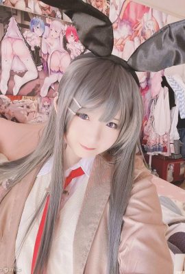 (Bodoh) mai sakurajima mai (27p)