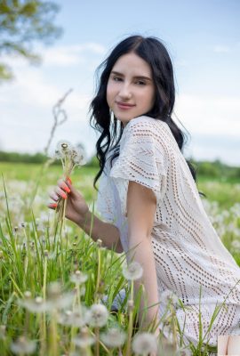 Sasha Jane – Dandelions (105p)