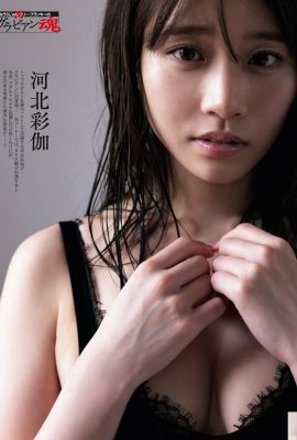 (Hebei Caijia) Mata dewi panas yang menawan dan seksi (10p)