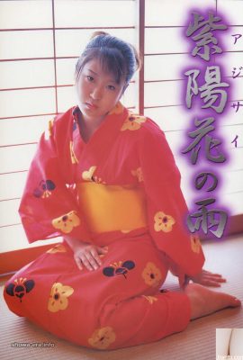 Bintang lucah di Urabon-Books Hydrangea Rain (52p)