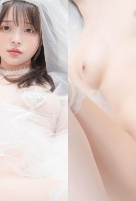 Sebilangan besar “penyesuaian harga tinggi” terdedah, dan seluruh badan hilang dan rapat tidak terlepas (11p)